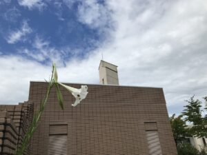 9月のできごと の投稿