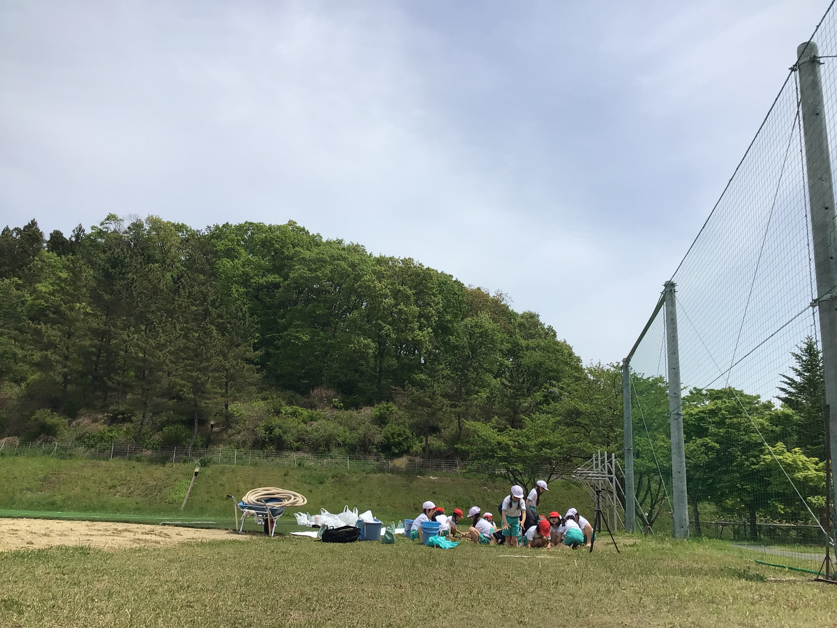 白百合で泥んこ遊び　Σ( ºωº ) の投稿