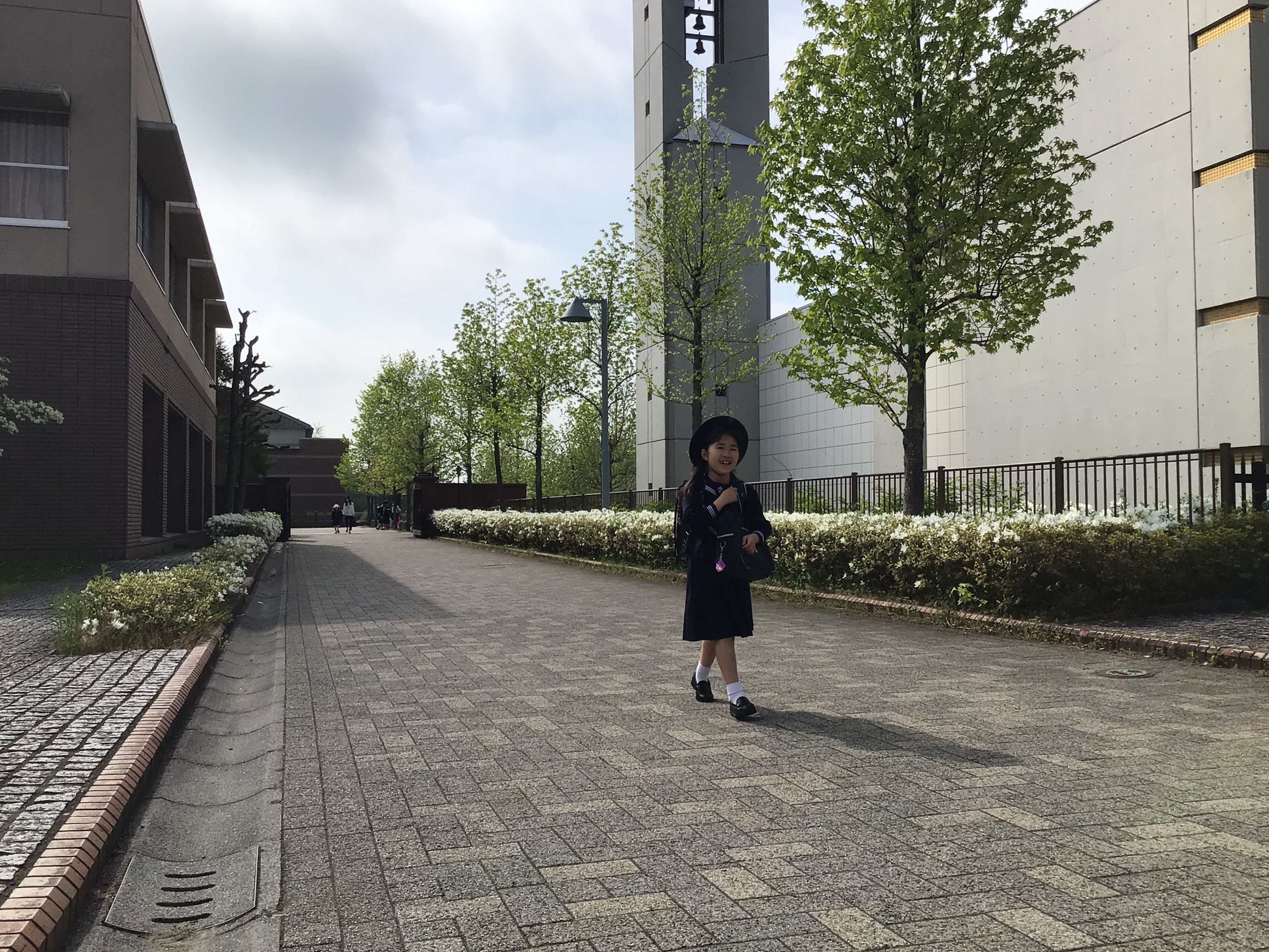 ツツジが満開です の投稿