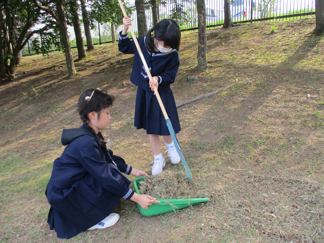 お手伝い の投稿