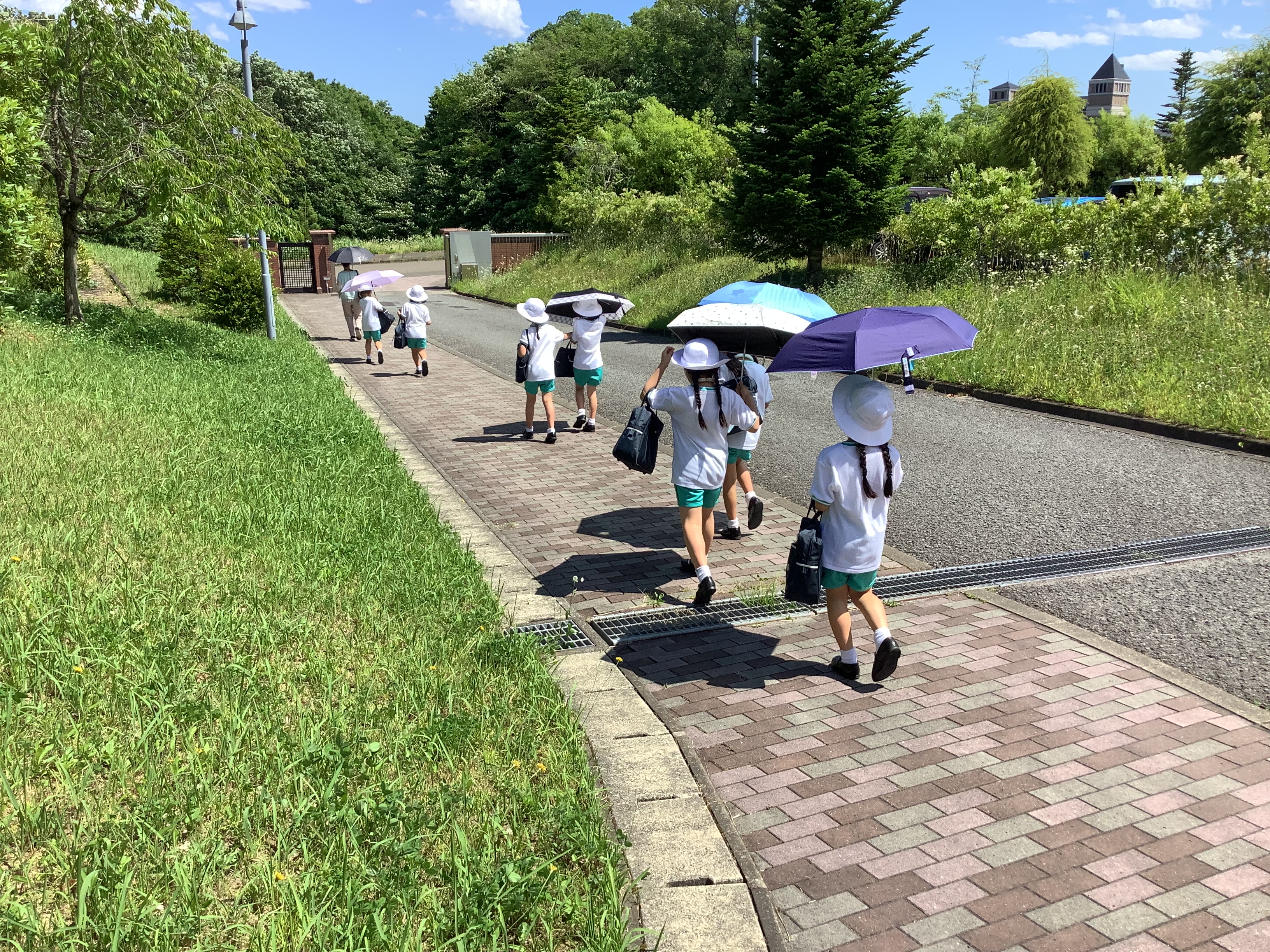 6月17日（火）2年生 町探検のし・た・み の投稿