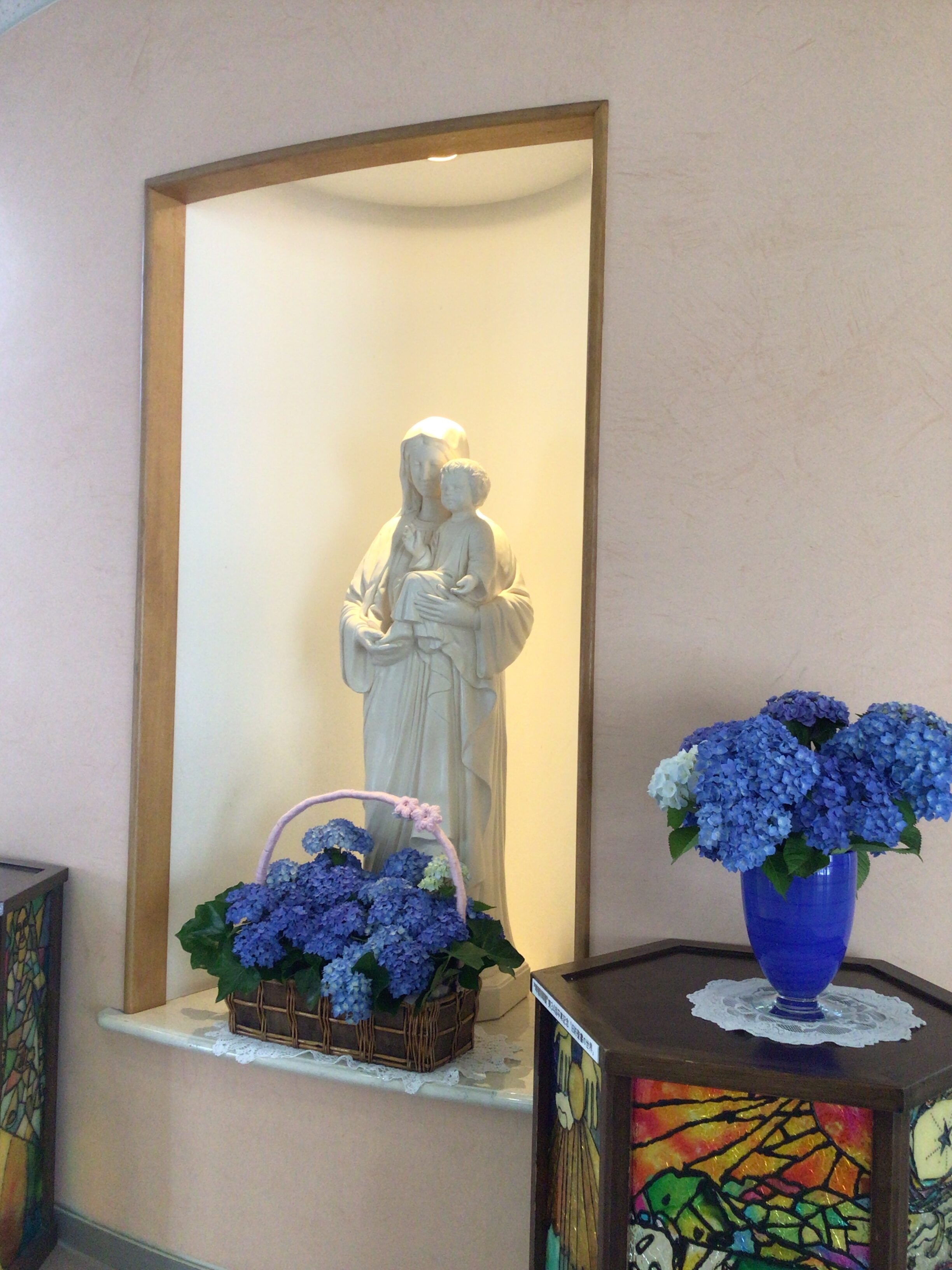 6月16日（月）紫陽花 の投稿