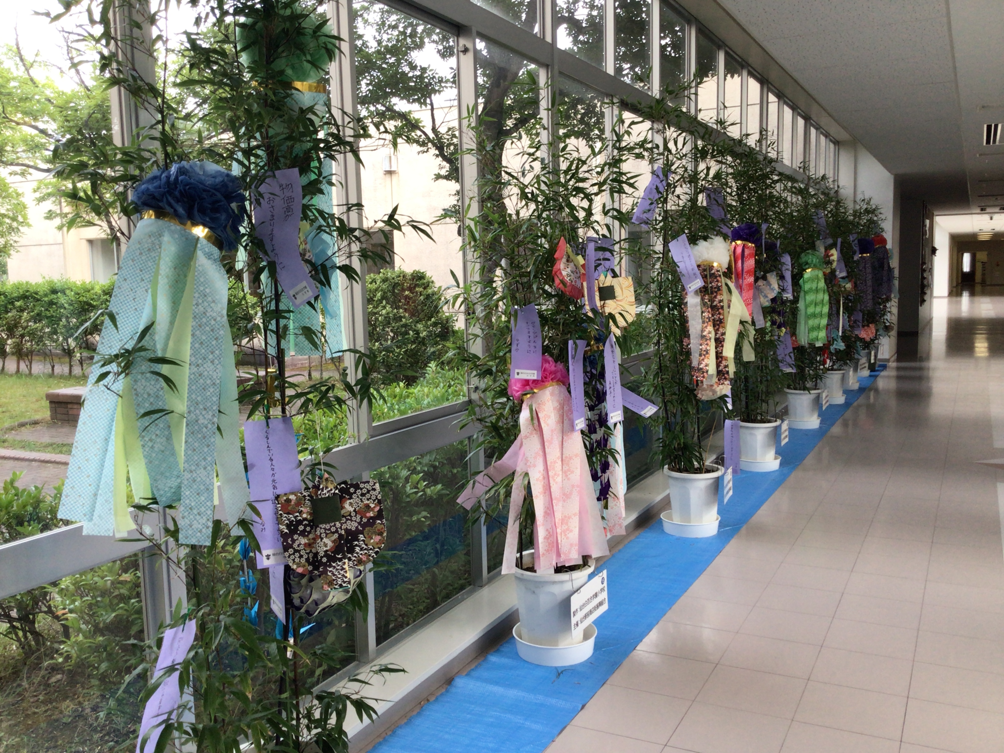 7月17日（木）短冊 の投稿