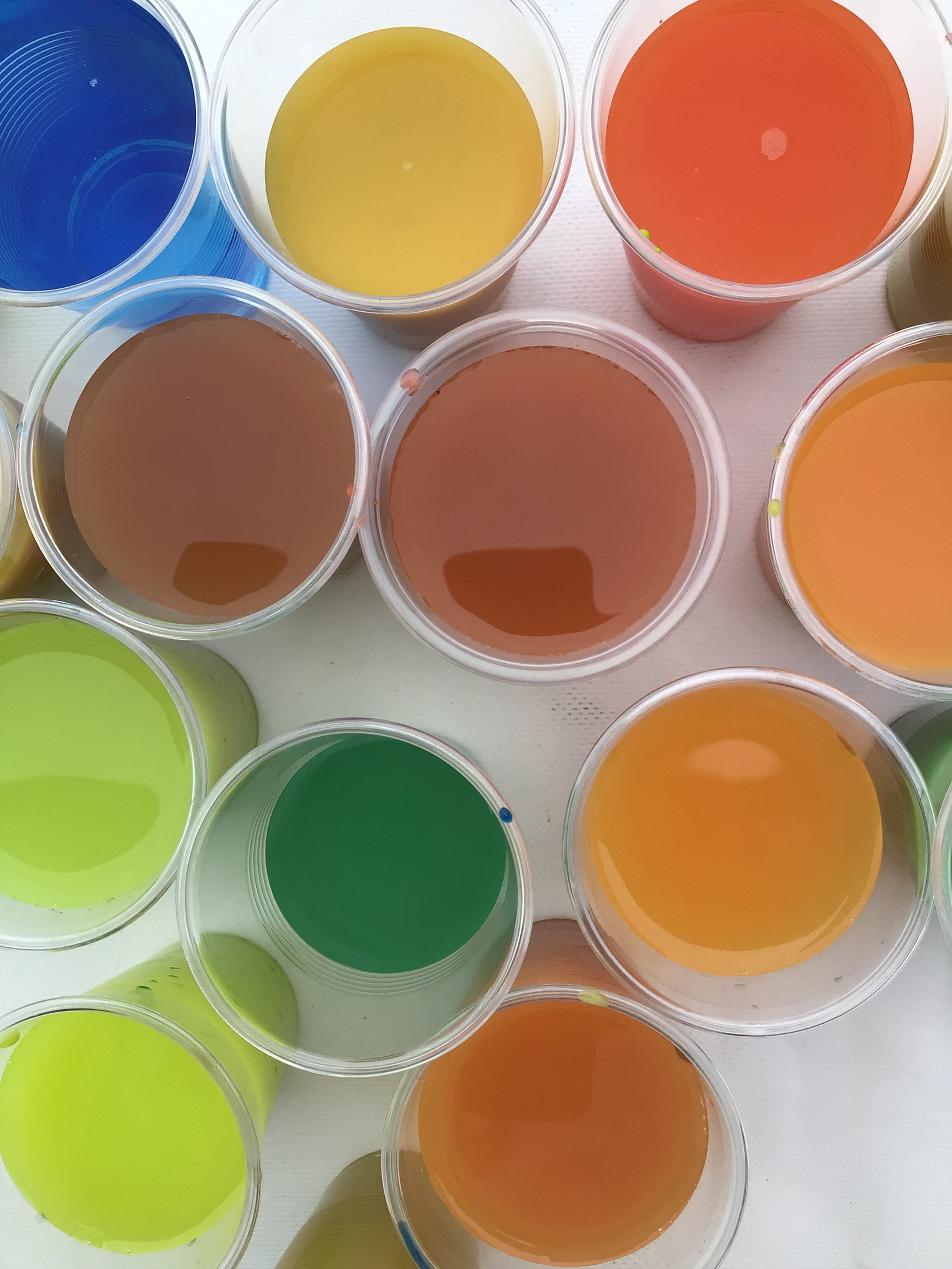 8月25日　2年生図工「ならべて見つけていろいろ色水」 の投稿