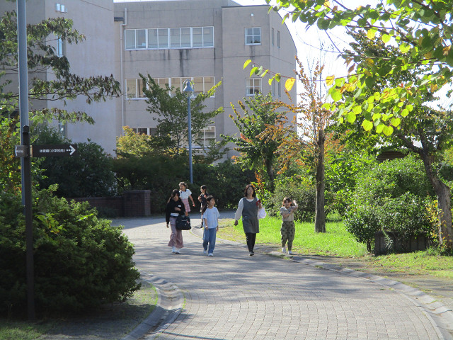 自宅学習日SKIP の投稿