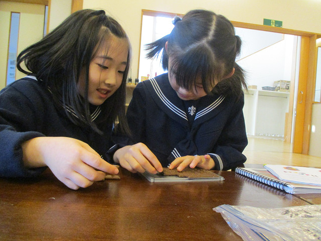 1月のSKIP の投稿